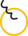 Image shape